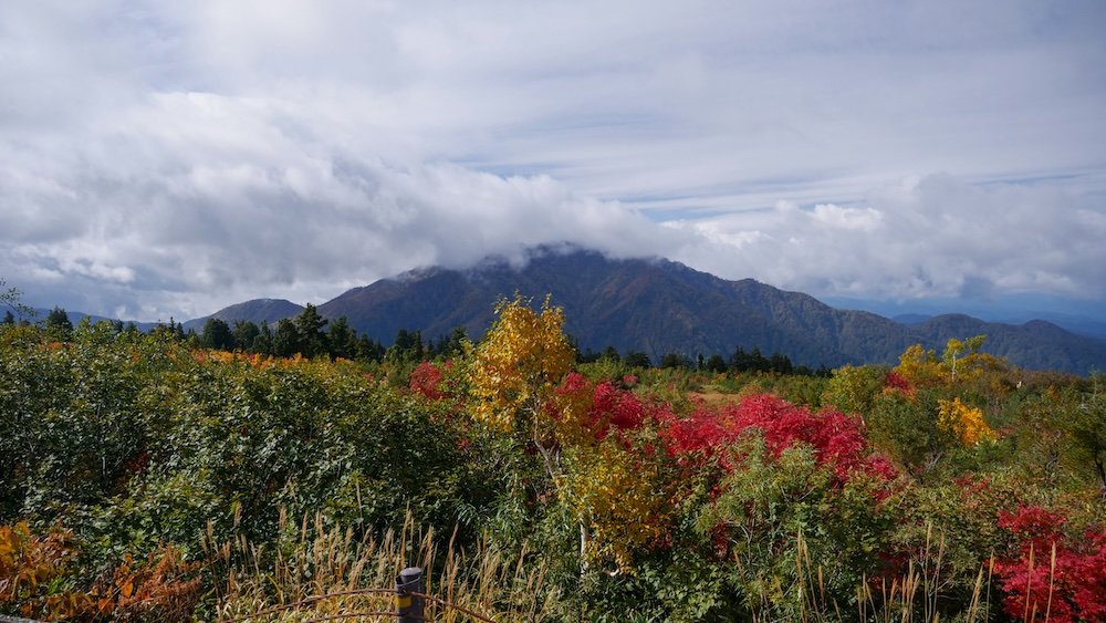 Scenic views from the Tateyama Highland Bus featuring stunning fall colurs and mountain backdrop traveling from Bijodaira to Murodo 