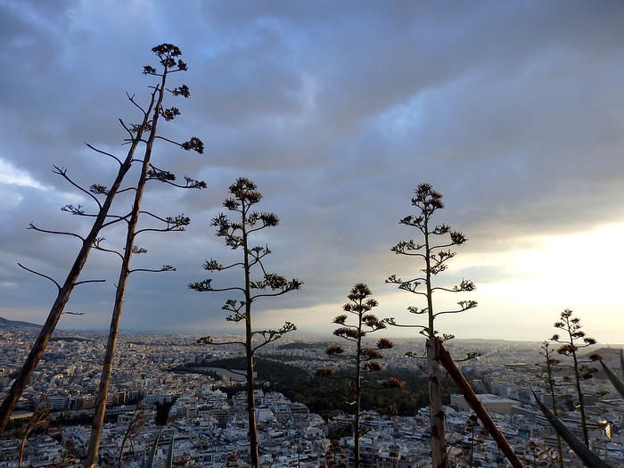 Scenic views in the Greek city