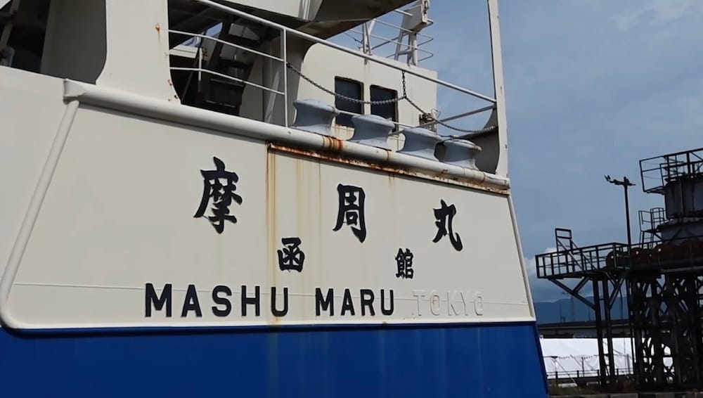 Close view of the preserved Seikan Ferry Mashu-maru in Hakodate, Hokkaido, Japan, showing the ship’s white-and-blue exterior with Japanese lettering and the name “MASHU MARU TOKYO” on the hull.