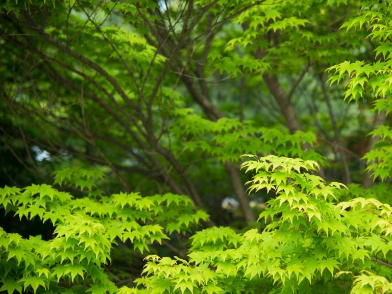 Seongnam gorgeous green spaces worth exploring