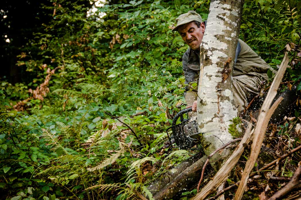 Serhiy, a lumberjack of the Carpathian Mountains in action. His work is one that is precise and demands thoughtfulness, decisiveness and… physical strength. His job extends far beyond counting the trees he cuts.
