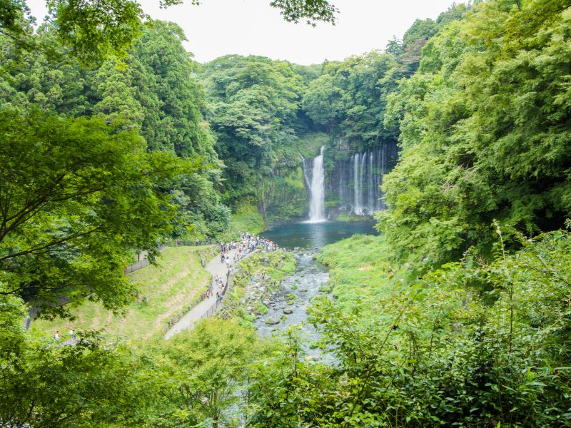 Shiraito Waterfall with lush green scenery in Fujinomiya, Japan