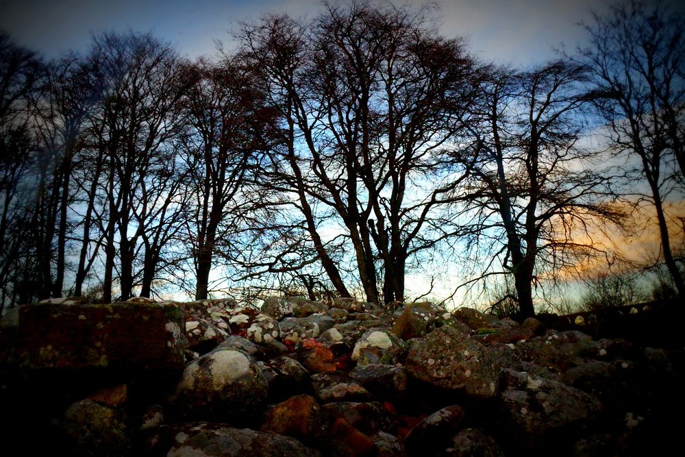 Silhouette trees nearby Clava Cairns with a dramatic feel to it