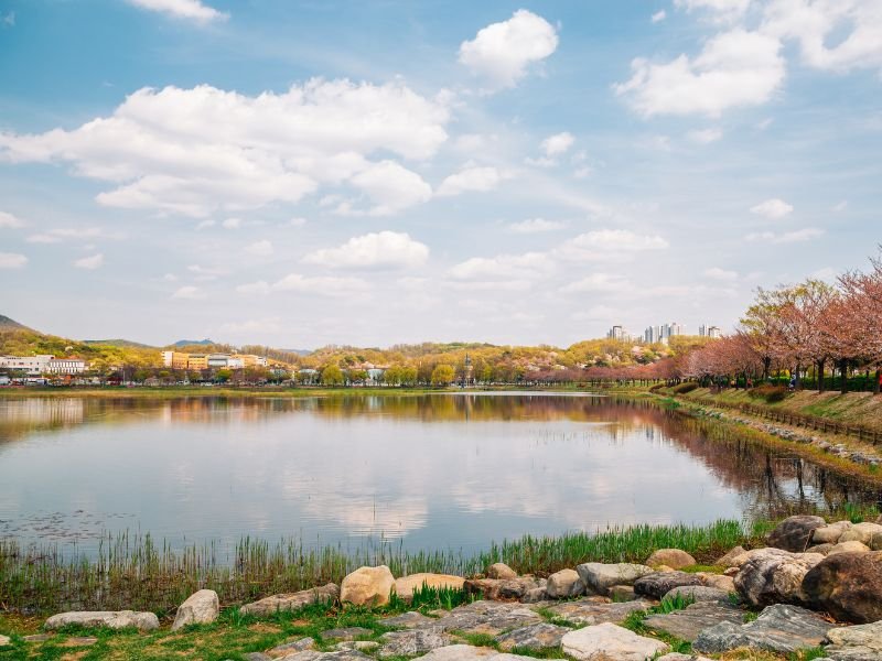 Simply gorgeous views from Lake at Hwarang Park in Ansan, Korea