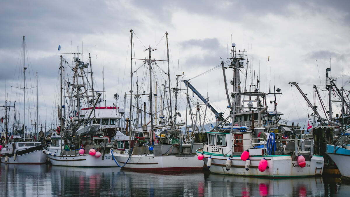 Sointula fishing boats at the dock in British Columbia 