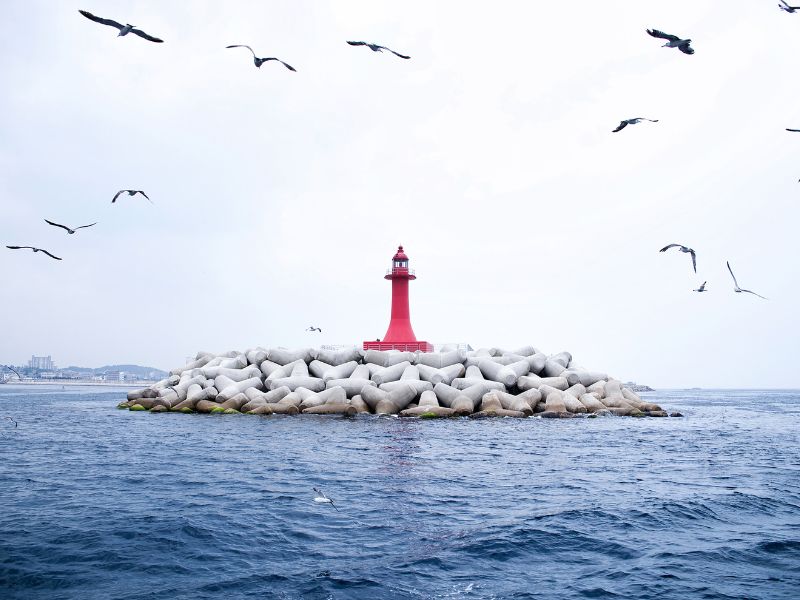 Sokcho lighthouse with seagulls flying around it in South Korea 