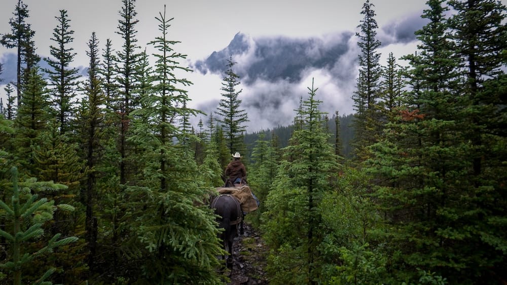 Jinete solitario, sendero boscoso, Banff Trail Riders, Parque Nacional Banff, Alberta, Canadá Un jinete solitario a caballo sigue un estrecho sendero boscoso hacia picos envueltos en niebla durante una excursión a caballo por el interior con Banff Trail Riders en el Parque Nacional Banff, Alberta, Canadá.