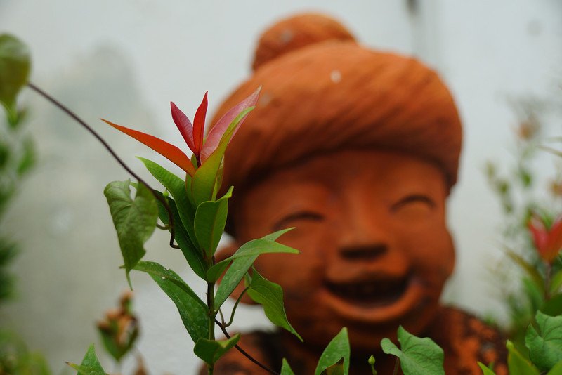 Some plants and sculpture in our Thai neighborhood in Chiang Mai, Thailand