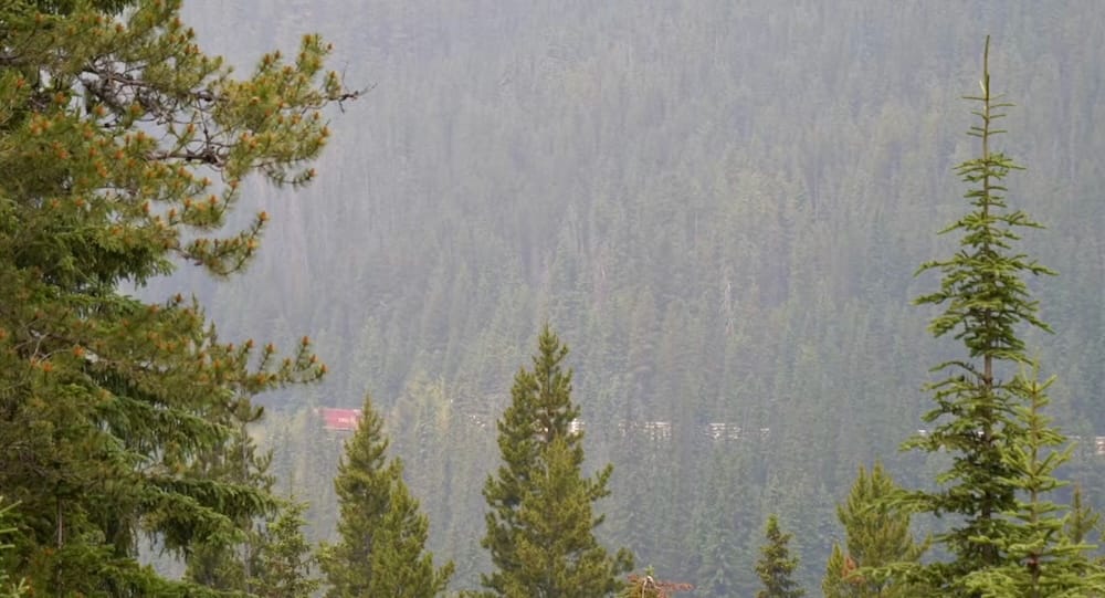 Freight train near the Spiral Tunnels in Yoho National Park, British Columbia, Canada A freight train moves through dense evergreen forest near the Spiral Tunnels in Yoho National Park, British Columbia, Canada, partially obscured by trees against a hazy mountain slope.