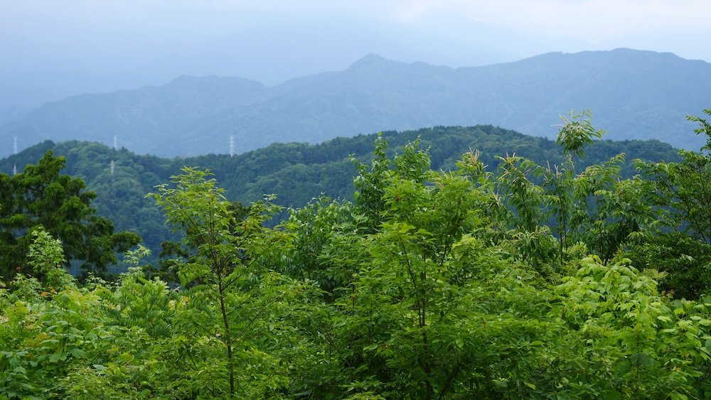 Stunning natural views and lush greenery in Mount Takao, Japan 