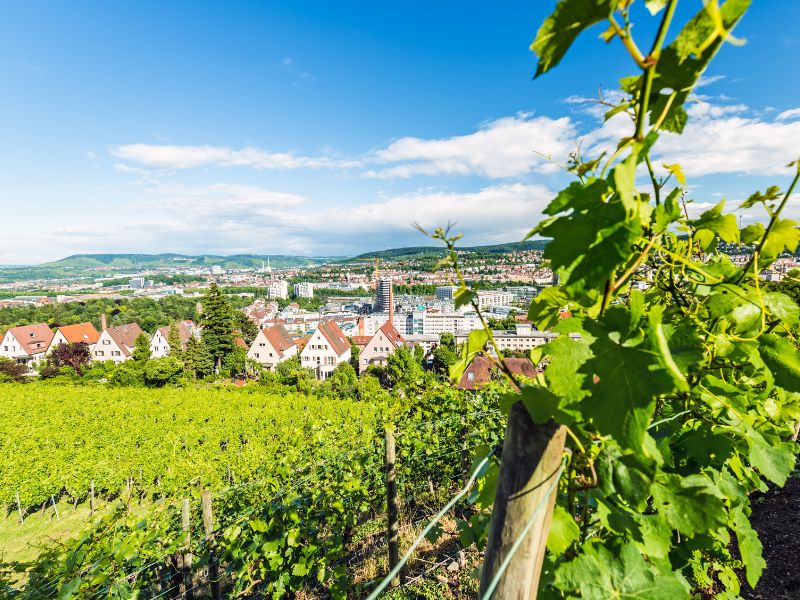 Stuttgart farmland vantage point in Germany 