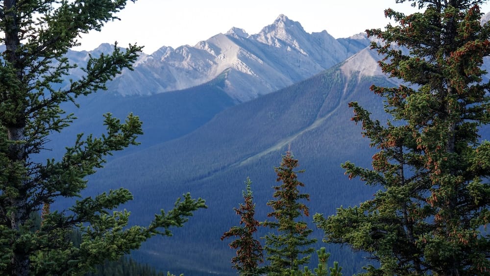 Picos de las Montañas Rocosas y bosque de coníferas desde Sulphur Mountain sobre Banff, Alberta, Canadá, cerca de la Banff Gondola Picos de las Montañas Rocosas vistos desde Sulphur Mountain cerca de la Banff Gondola sobre Banff, Alberta, Canadá, enmarcados por coníferas, con laderas boscosas y escarpadas crestas grises en la distancia.