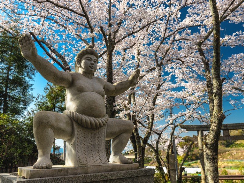 Men's Kimono: The Beauty of Dressing with Flair - Core Kyoto