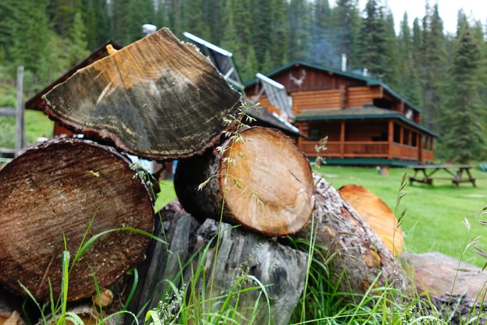 Sundance Lodge en el Parque Nacional Banff, Alberta, Canadá, con leña apilada y cabaña rústica de backcountry Troncos cortados apilados en primer plano en Sundance Lodge, Parque Nacional Banff, Alberta, Canadá, con la gran cabaña de troncos, césped y un denso bosque de coníferas detrás.