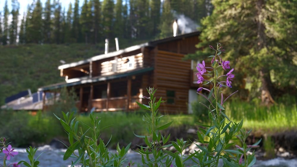 Flores silvestres violetas en primer plano junto a Sundance Lodge, en el Parque Nacional Banff, Alberta, Canadá, con la cabaña rústica de troncos desenfocada al fondo entre bosque y pasto verde.