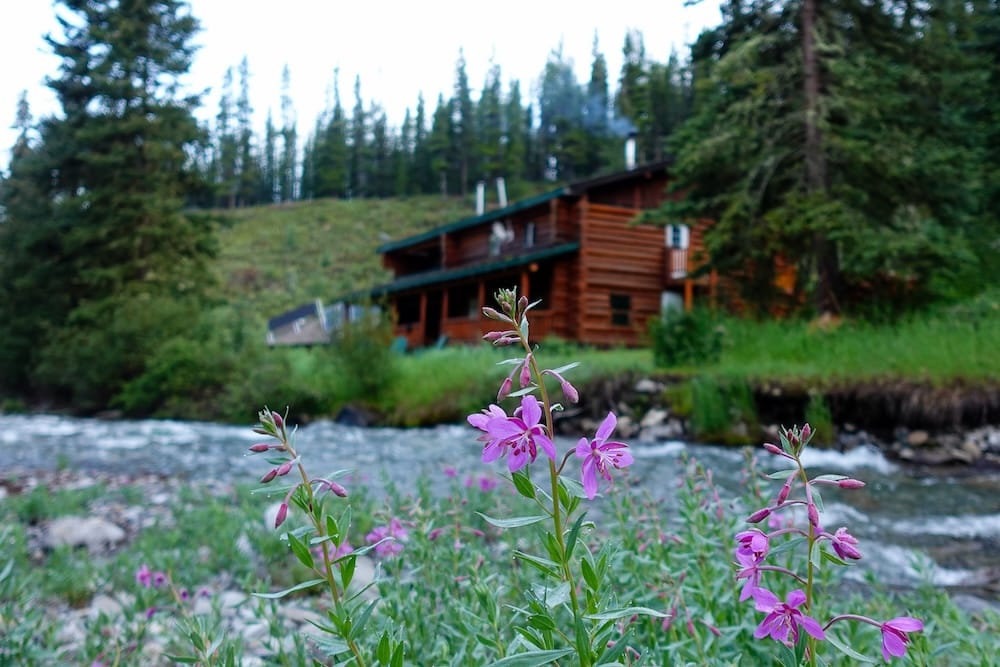 Propiedad de Sundance Lodge en el Parque Nacional Banff, Alberta, Canadá, con arroyo, flores silvestres y entorno de backcountry boscoso Flores silvestres rosadas junto a un arroyo de corriente rápida cerca de Sundance Lodge, en el Parque Nacional Banff, Alberta, Canadá, con el lodge rústico de troncos y bosque de coníferas desenfocados al fondo.