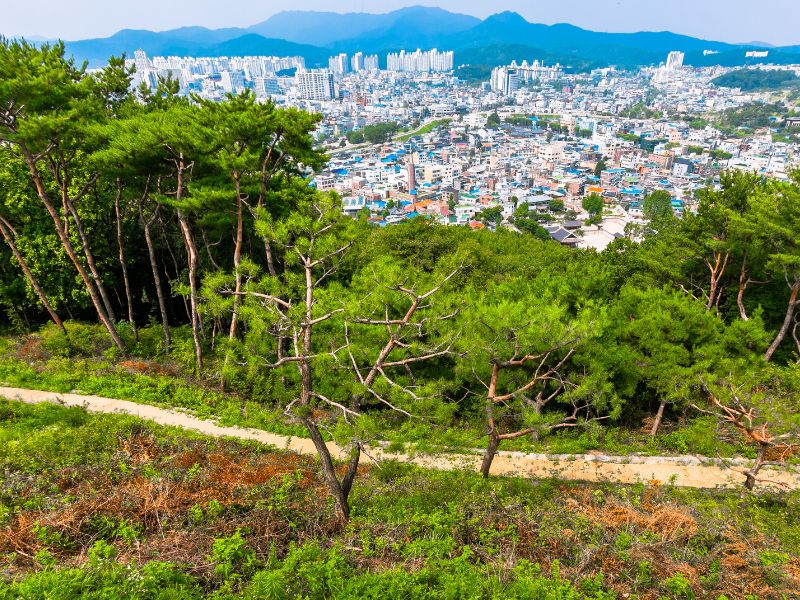 Suwon skyline from a distant vantage point in South Korea 