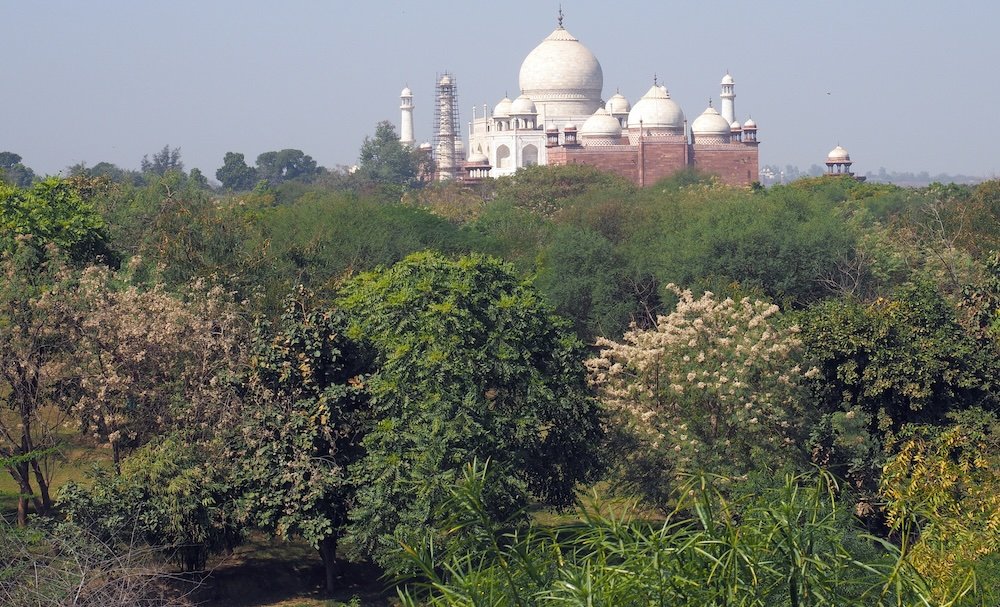 Taj Mahal from a distant vantage point framed by trees and foliage 