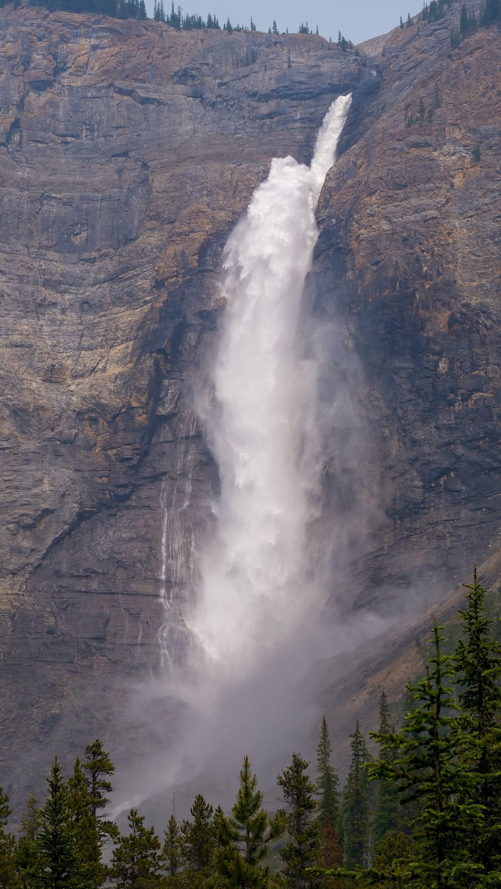 A close vertical view of Takakkaw Falls in Yoho National Park, British Columbia, showing the waterfall's single powerful plunge down a sheer grey cliff face, with heavy mist rising off the base into the surrounding evergreens.