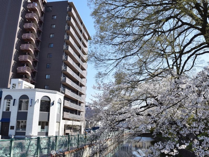 Takasaki apartment buildings with cherry blossoms in Japan