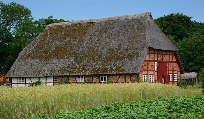 Thached roof house at an open-air museum in Germany