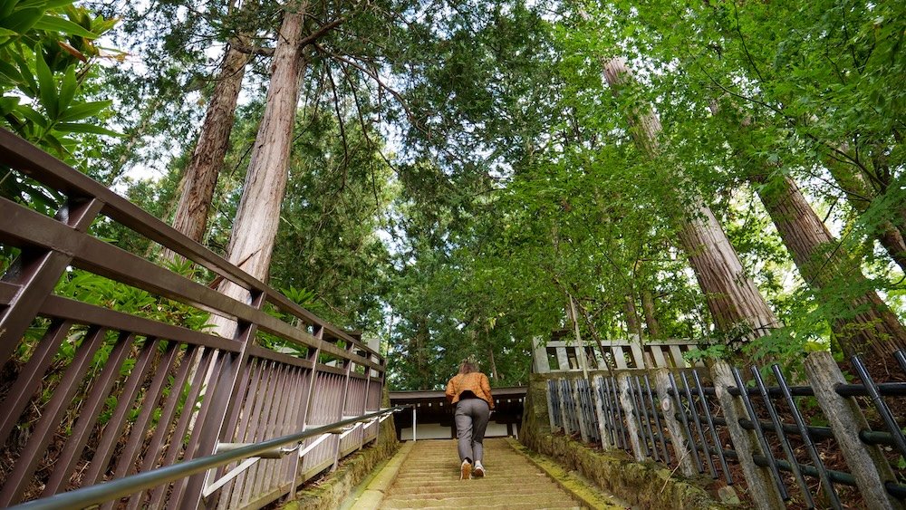 That Backpacker ascending steps on the Higashiyama Walking Course in Takayama, Japan 