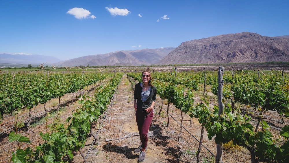 That Backpacker Audrey Bergner enjoying scenic vineyards in Cafayate, Salta, Argentina 