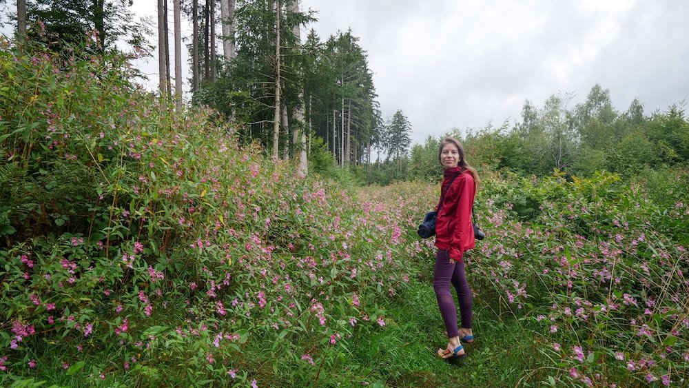 That Backpacker Audrey Bergner enjoying the natural beauty and scenery of Lake Constance, Germany 