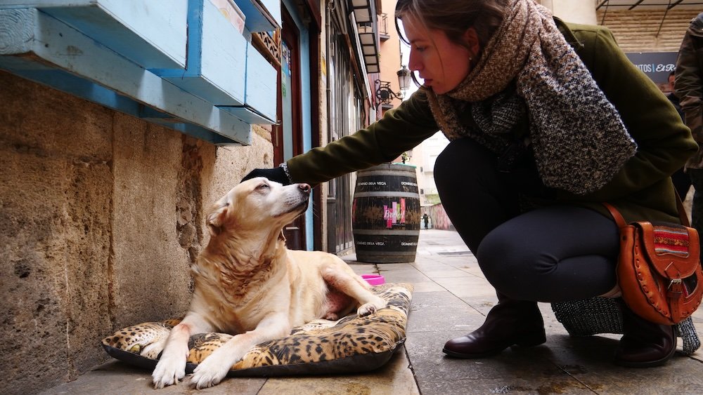 That Backpacker Audrey Bergner petting a street dog in Valencia, Spain 