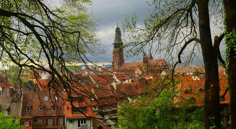 The best views of Freiburg were from the forest trail