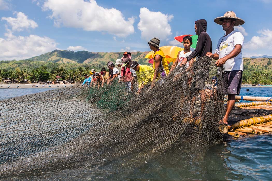 Three generations of fishermen during lambaklad fishing in Tibiao, Philippines, where they use an enormous, stationary fish trap that is the biggest in the country! 