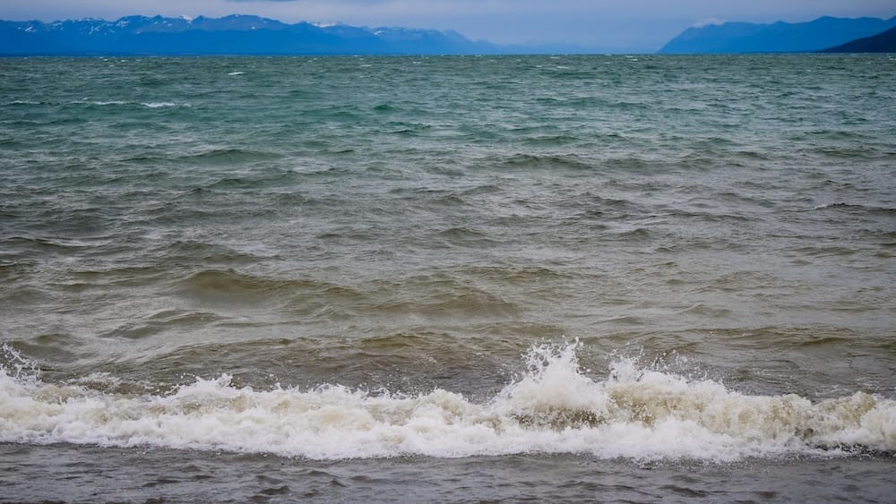 Wind-driven waves crashing along the shore of Lago Fagnano near Tolhuin in Tierra del Fuego, showing how Patagonia’s relentless gusts transform even inland lakes into rough, choppy water that reflects the region’s constant exposure to powerful wind systems.

