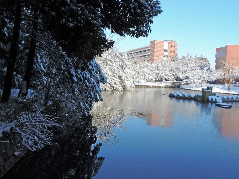 Top Things To Do in Tsukuba, Japan For Visitors with a beautiful winter scene 