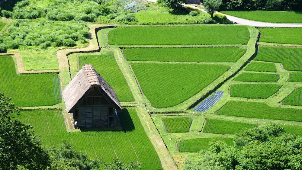 Traditional Japanese Farmhouse in Shirakawago, Japan 