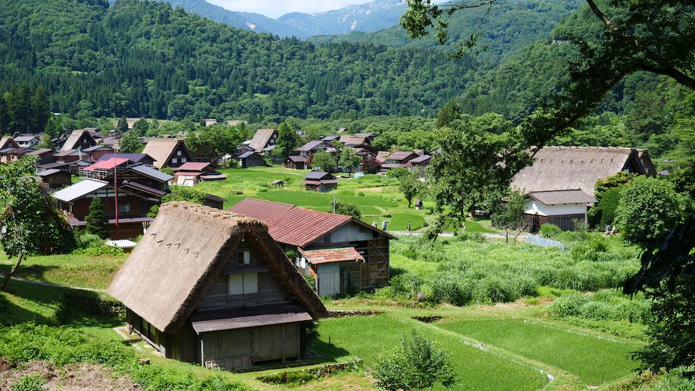 Traditional Japanese Houses built out of wood with thatched roofs in Shirakawago, Japan 