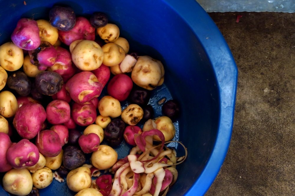 Traditional Peruvian colorful assorted potatoes for dinner on Lake Titicaca, Peru 