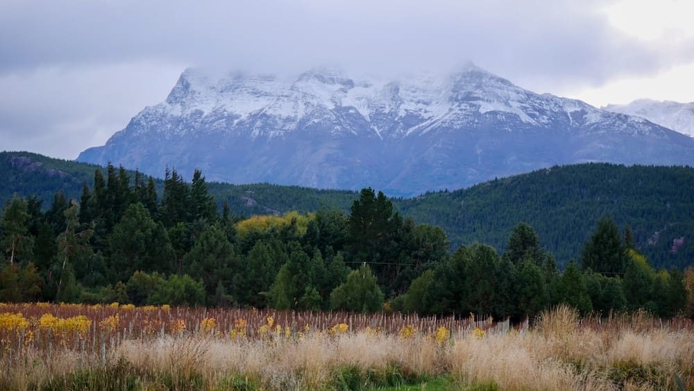Snow-capped Andes mountains rising above forest and fields in Trevelin Patagonia, showcasing the lush alpine landscape that contrasts sharply with the dry desert valley of Gaiman in Argentina’s Welsh settlement region