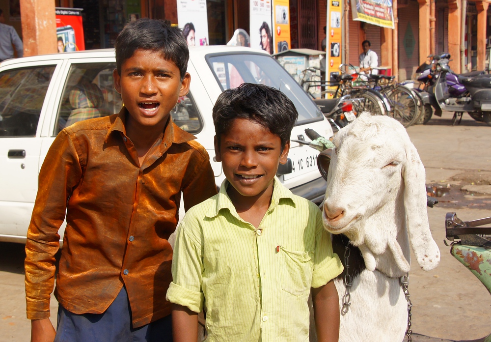 Two Indian boys pose with their goat on the bustling streets of Jaipur, India.