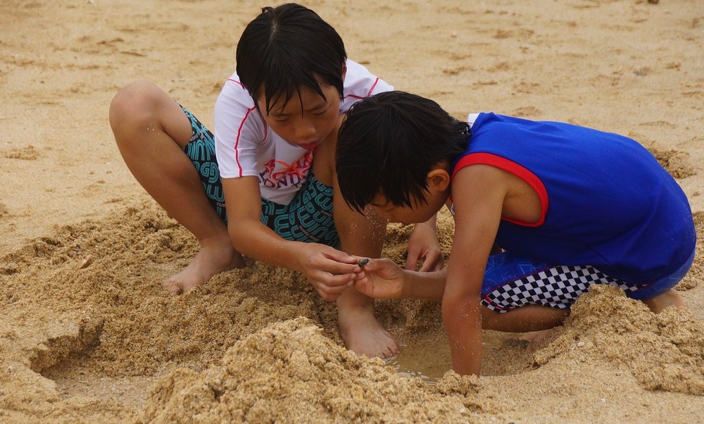 Two Korean boys enjoying digging sand in what appears to be an early foundation of a sandcastle at the Boryeong Mud Festival