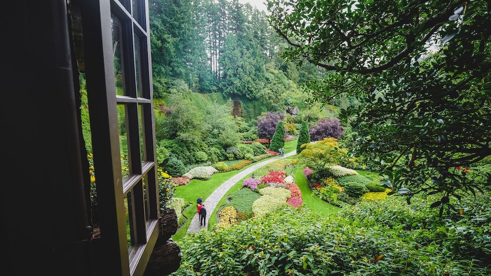 Victoria Butchart Garden views with lush greenery in British Columbia