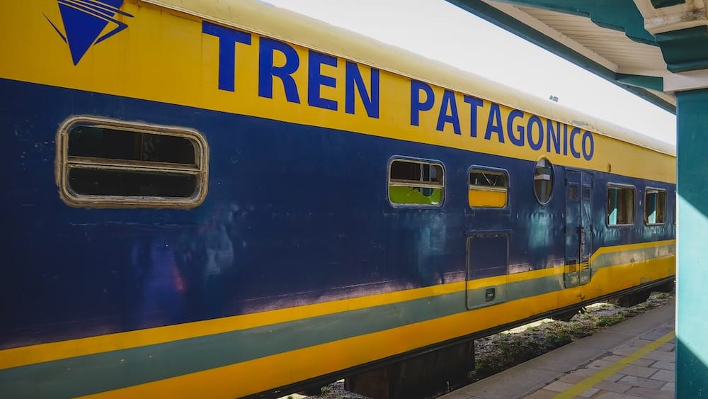 The blue and yellow Tren Patagónico railcar sits at the station platform in Viedma, Río Negro, Argentina, ahead of its overnight route into the Patagonian steppe toward Bariloche.