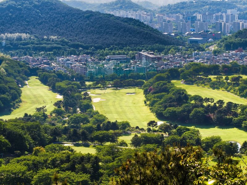 View of Ansan from a distant vantage point with natural scenery in the foreground