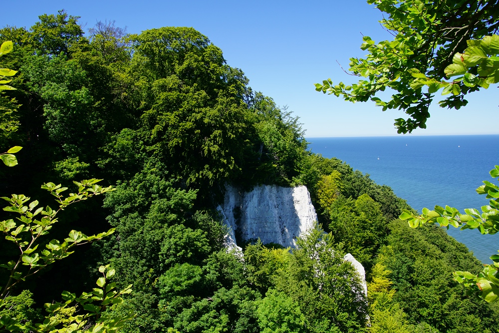Views of the White Chalk cliffs in Jasmund National Park located on Ruegen Island, Germany