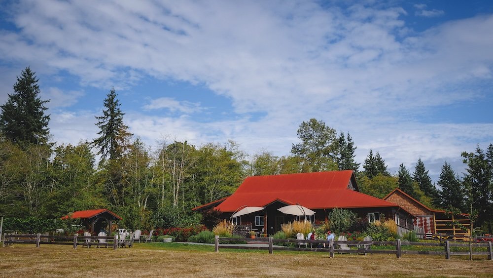 Vineyard on Vancouver Island in Comox Valley 