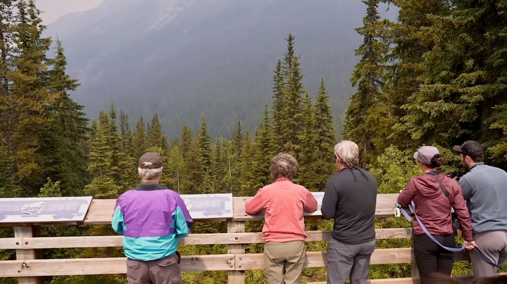A group of visitors lines a wooden railing at the Spiral Tunnels viewing platform in Yoho National Park, British Columbia, watching the forested mountainside for a train, with interpretive panels mounted along the fence.