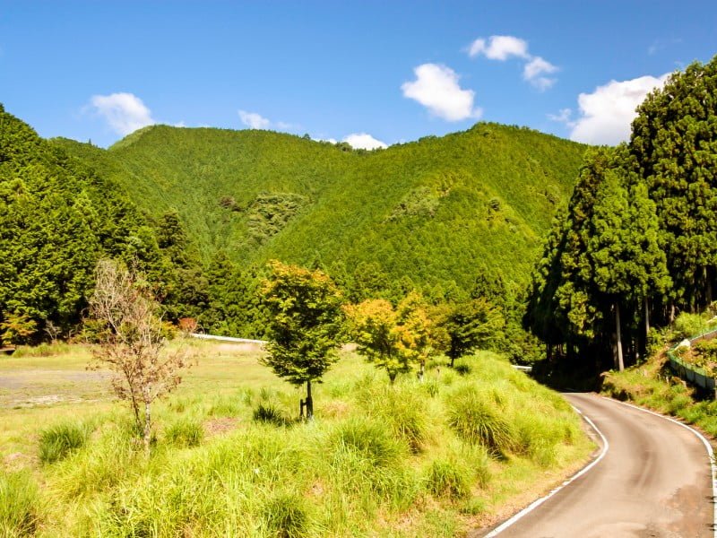 Lost Art: the mysterious allure of Japan's Three Sacred Treasures