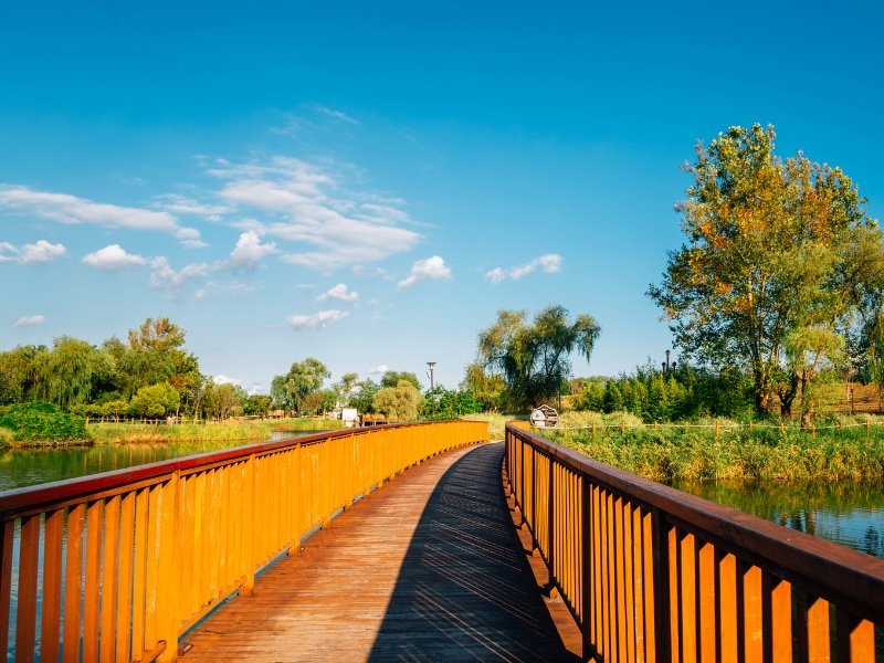 Pyeongtaek walking with natural scenery in South Korea 