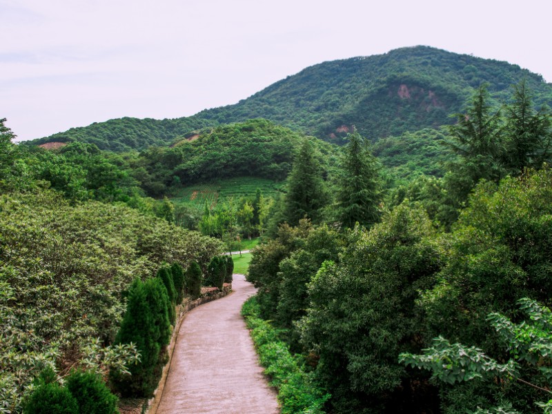 Window of the world greenery path in Shenzhen, China 