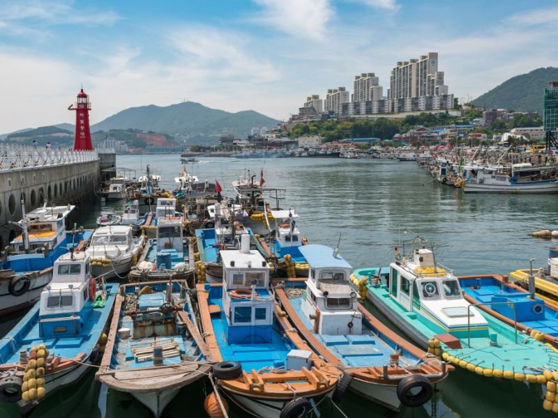 Yeosu port fishing boats docked in the city