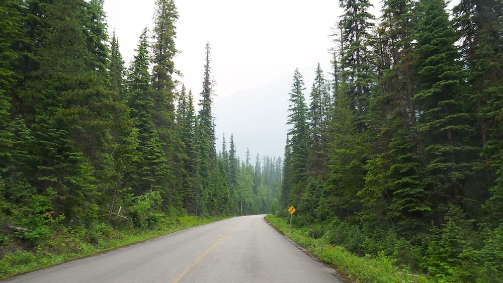 Yoho Valley Road to Takakkaw Falls in Yoho National Park, British Columbia, Canada Yoho Valley Road curves through dense evergreen forest toward Takakkaw Falls in Yoho National Park, British Columbia, Canada, with a hazy mountain slope visible beyond the trees.
